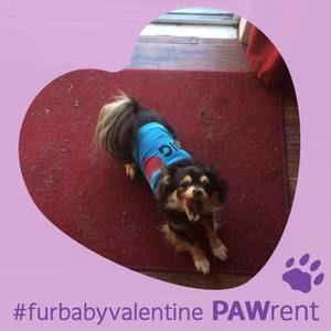 Meet your Posher, Linda